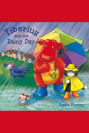 Cover of the book Tiberius and the Rainy Day by John Smalldridge