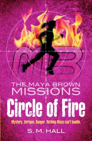 Cover of the book Circle of Fire by S. M. Hall