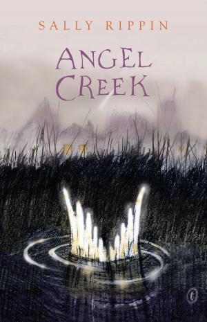 Cover of the book Angel Creek by Nan Chauncy