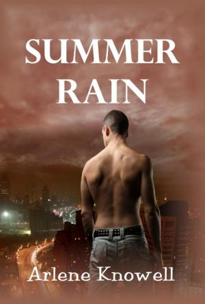 Cover of the book Summer Rain by Annika Martin