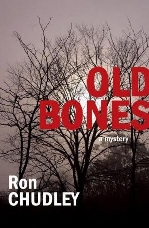 Cover of the book Old Bones by Cathy Converse
