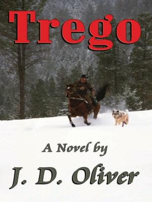 Cover of the book Trego by Debra Stuart Sanford