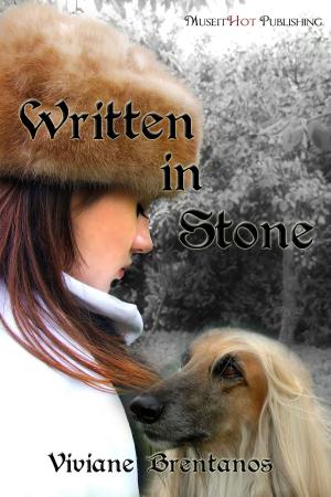 Cover of the book Written in Stone by Christina Weigand
