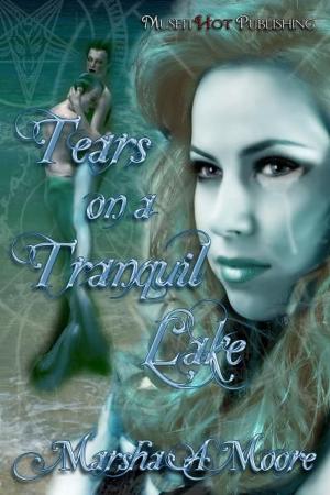 Cover of the book Tears On A Tranquil Lake by Brent Archer