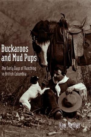 Cover of the book Buckaroos and Mud Pups: The Early Days of Ranching in British Columbia by Hughina Harold
