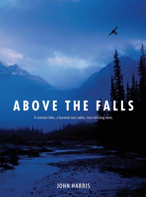 Cover of the book Above the Falls by Robert W. Mackay