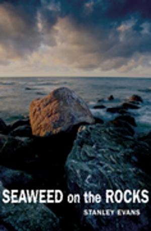 Cover of the book Seaweed on the Rocks by Shawn Soole, Nate Caudle