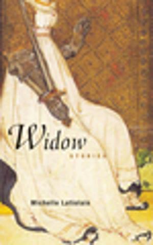 Cover of the book Widow by Pascale Kramer