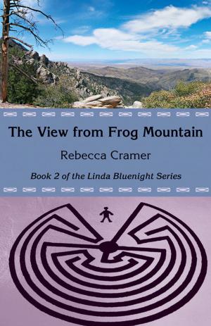 bigCover of the book The View from Frog Mountain by 