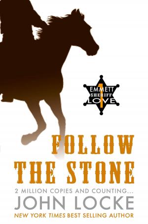 Cover of the book Follow the Stone by Ariella Guerra