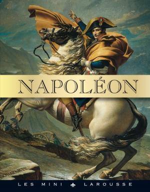 Cover of the book Napoléon by Vincent Amiel, Marie-Laure André