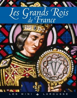 Cover of the book Les grands rois de France by Andrew Leigh