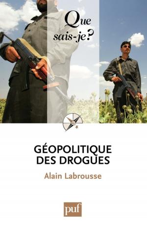 Cover of the book Géopolitique des drogues by Jean-Hervé Lorenzi