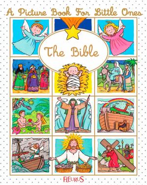 Cover of the book The Bible by Nathalie Bélineau, Émilie Beaumont