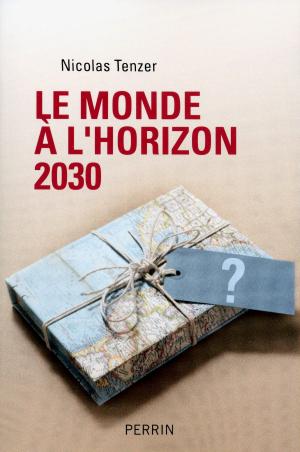 Cover of the book Le monde à l'horizon 2030 by Jean ANGLADE