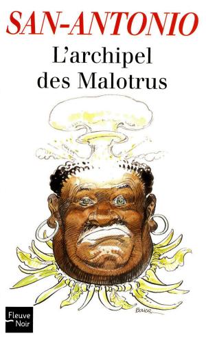Book cover of L'Archipel des Malotrus