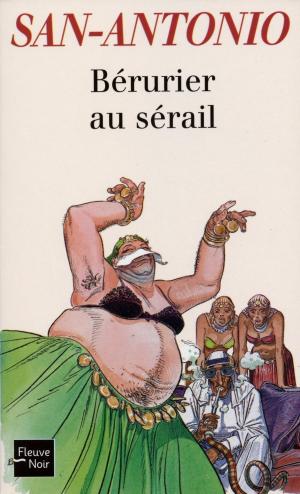 Cover of the book Bérurier au sérail by Franck THILLIEZ