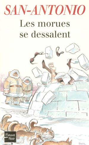 Cover of the book Les morues se dessalent by Agathe COLOMBIER HOCHBERG