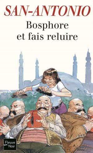 Cover of the book Bosphore et fais reluire by Titu-Marius I. BAJENESCO