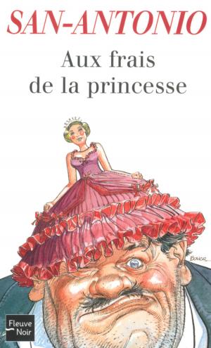 Cover of the book Aux frais de la princesse by Charles Beagley, Accentia Design