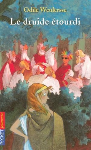 Cover of the book Le druide étourdi by Patricia WENTWORTH
