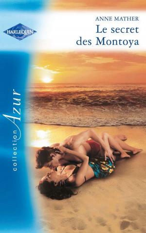Book cover of Le secret des Montoya