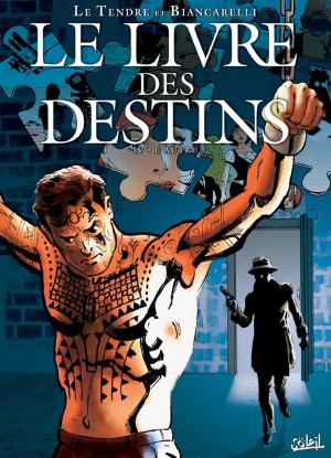 Cover of the book Le livre des destins T04 by Elia Bonetti, Stéphane Betbeder