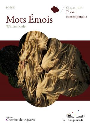 Cover of the book Mots Émois by Alphonse de Lamartine