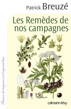 Cover of the book Les Remèdes de nos campagnes by Geneviève Senger