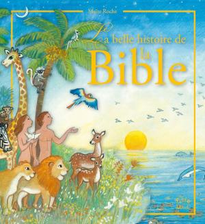 Cover of the book La belle histoire de la Bible by Cyril Lepeigneux