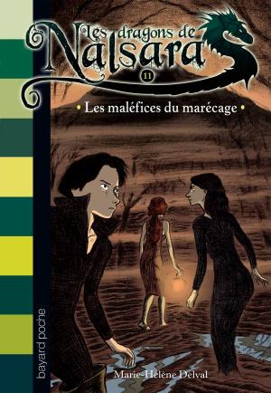 Cover of the book Les dragons de Nalsara, Tome 11 by Claude Merle