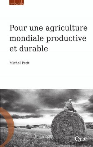 Cover of the book Pour une agriculture mondiale productive et durable by Denis Barthelemy, Jacques David