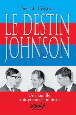 Cover of the book Le Destin Johnson by Michel Arseneault