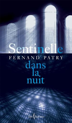 Cover of the book Sentinelle dans la nuit by Rafaële Germain, Rafaële Germain