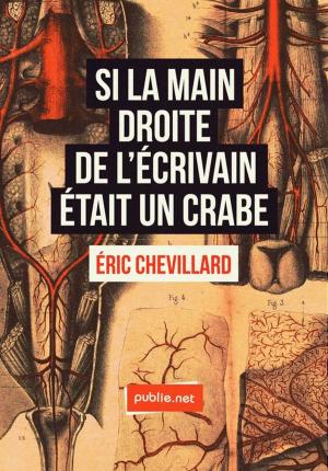 Cover of the book Si la main droite de l'écrivain était un crabe by Hubert Guillaud