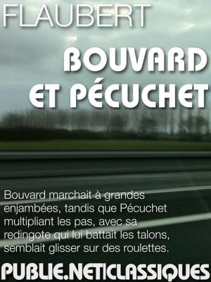 Cover of the book Bouvard et Pécuchet by Didier Daeninckx