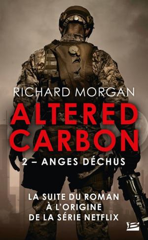 Cover of the book Anges déchus by Mathieu Gaborit