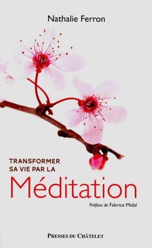 Cover of the book Transformer sa vie par la Méditation by Tariq Ramadan