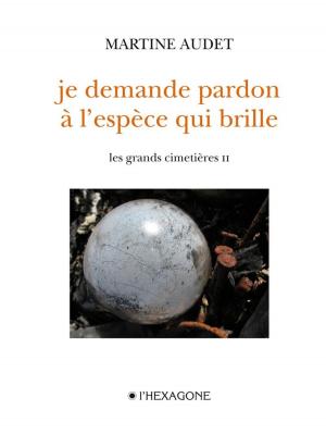 Cover of the book Les grands cimetières - Tome 2 by François Charron