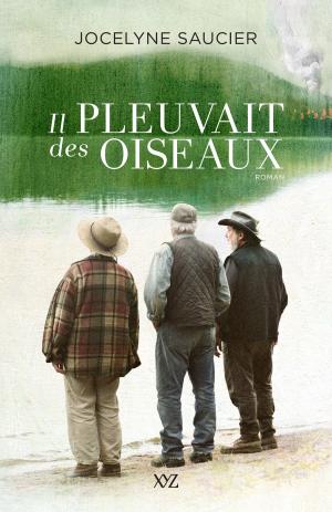Book cover of Il pleuvait des oiseaux