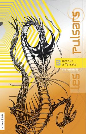 Cover of the book Le dernier pulsar by Eve Patenaude