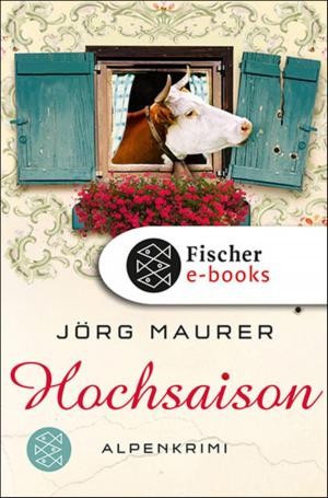 Cover of the book Hochsaison by Stefan Berg, Günter de Bruyn