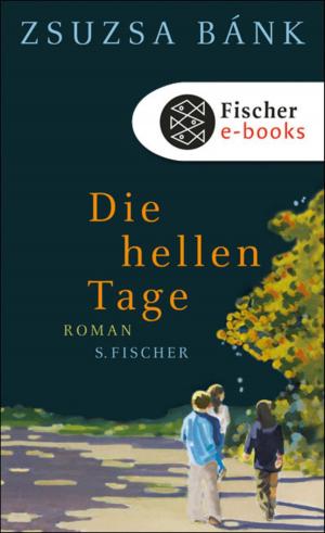 Cover of the book Die hellen Tage by Ulrich Peltzer