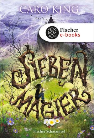 Cover of the book Sieben Magier by Marie-Aude Murail
