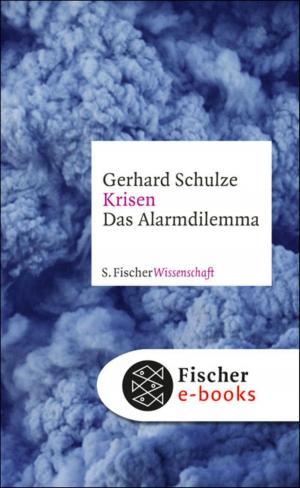 Cover of the book Krisen by Christoph Ransmayr