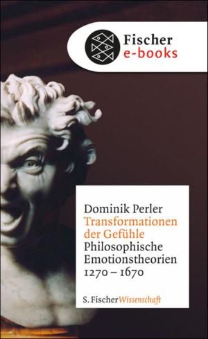 Cover of the book Transformationen der Gefühle by Dietmar Dath