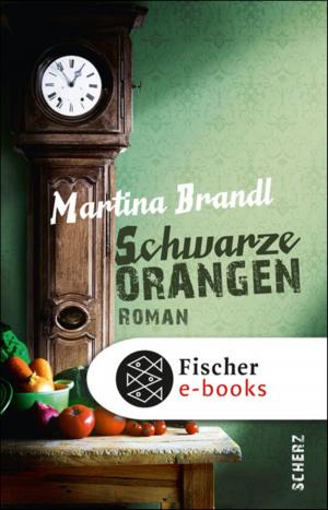 Cover of the book Schwarze Orangen by Anna Frebel