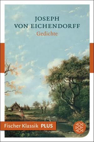 Cover of the book Gedichte by Christoph Ransmayr