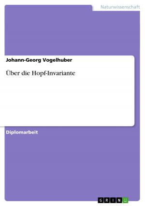 Cover of the book Über die Hopf-Invariante by Andreas Schraut