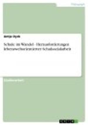 Cover of the book Schule im Wandel - Herausforderungen lebensweltorientierter Schulsozialarbeit by Jonas Lehmann
